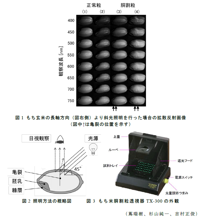 図1～3