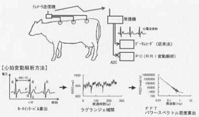 図1.心拍変動解析法