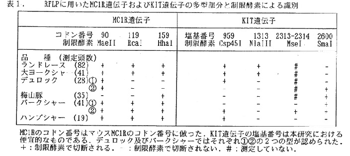 表1 RFLPに用いたMCIR遺伝子およびKIT遺伝子の多型部分と制限酵素による識別