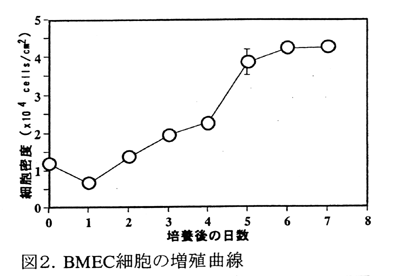 図2 BMEC細胞の増殖曲線