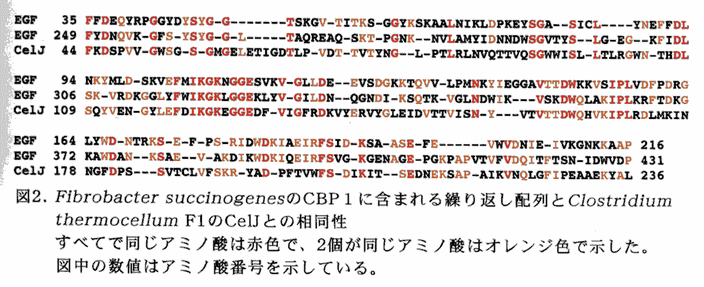 図2