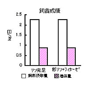 図2.低有効リン飼料へのフィターゼ添加(1,000単位/kg)が肥育豚の飼養成績および大腿骨の成分に及ぼす影響 (有意差なし)