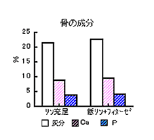図2.低有効リン飼料へのフィターゼ添加(1,000単位/kg)が肥育豚の飼養成績および大腿骨の成分に及ぼす影響 (有意差なし)