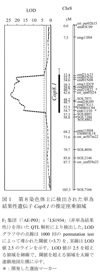 図1 第8染色体上に検出された単為結果性遺伝子Cop8.1の推定座乗領域