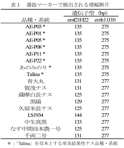 表1 選抜マーカーで検出される増幅断片