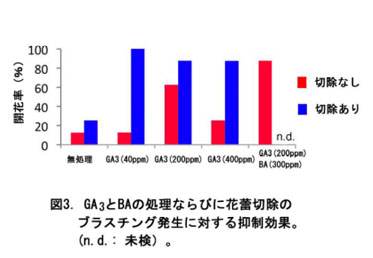 図3 GA3とBAの処理ならびに花蕾切除のプランチング発生に対する抑制効果