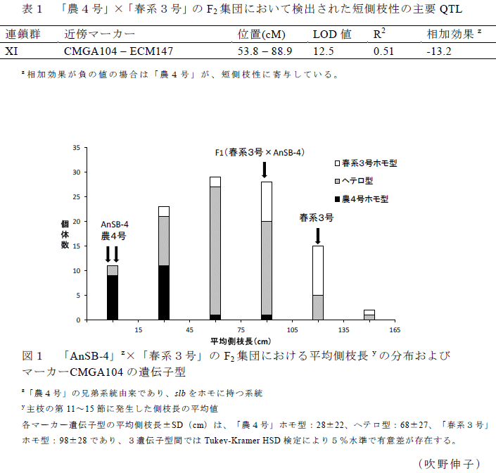 表1,図1