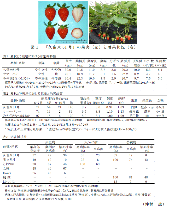 図1,表1～3