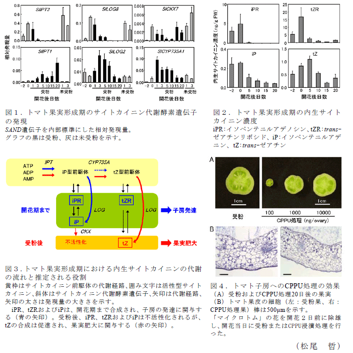 図1～4