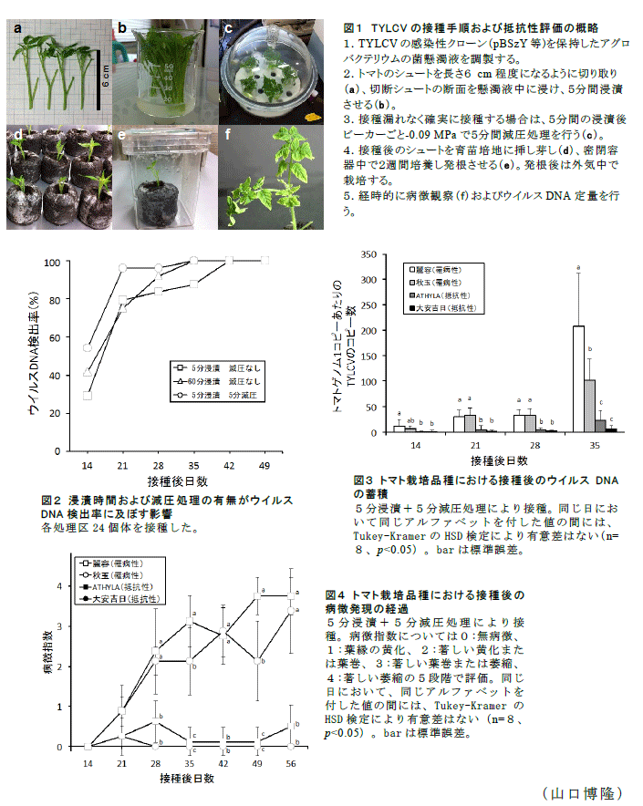 図1～4