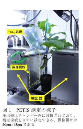 図1 PETIS測定の様子