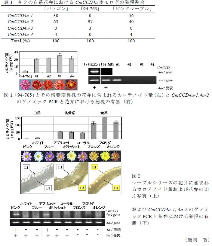 表1、図1～2