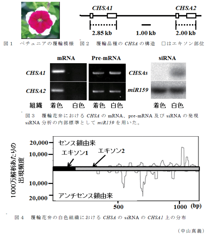 図1～4