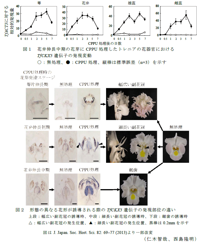 図1～2