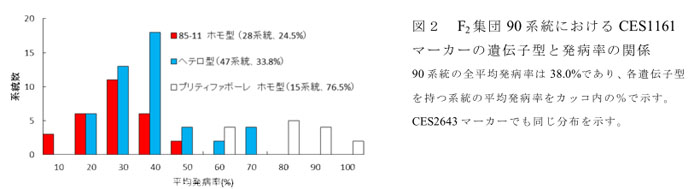 図2 F2集団90系統におけるCES1161マーカーの遺伝子型と発病率の関係