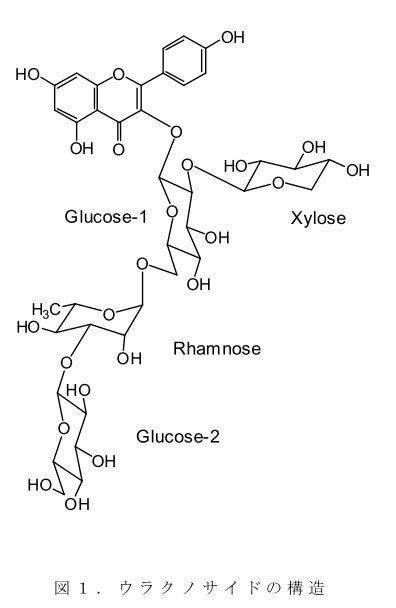 図1.ウラクノサイドの構造