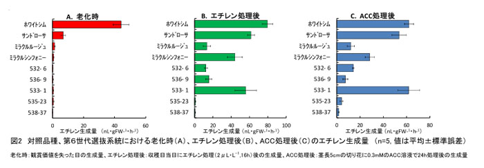 図2 対照品種、第6世代選抜系統における老化時(A)、エチレン処理後(B)、ACC処理後(C)のエチレン生成量