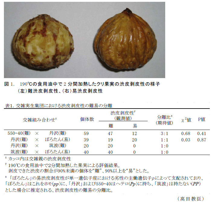 図1,表1