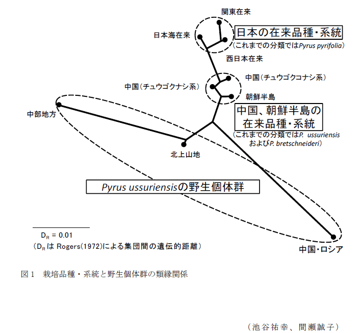 図1