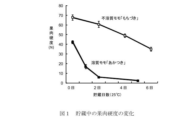 図1 貯蔵中の果肉硬度の変化