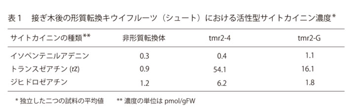 表1 接ぎ木後の形質転換キウイフルーツ(シュート)における活性型サイトカイニン濃度