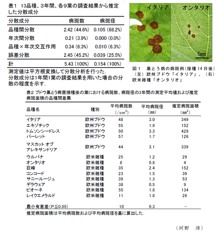 表1～2,図1