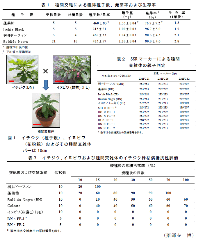 表1～2,図1