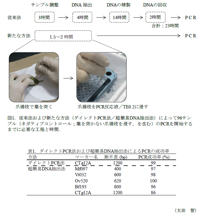 図1,表1