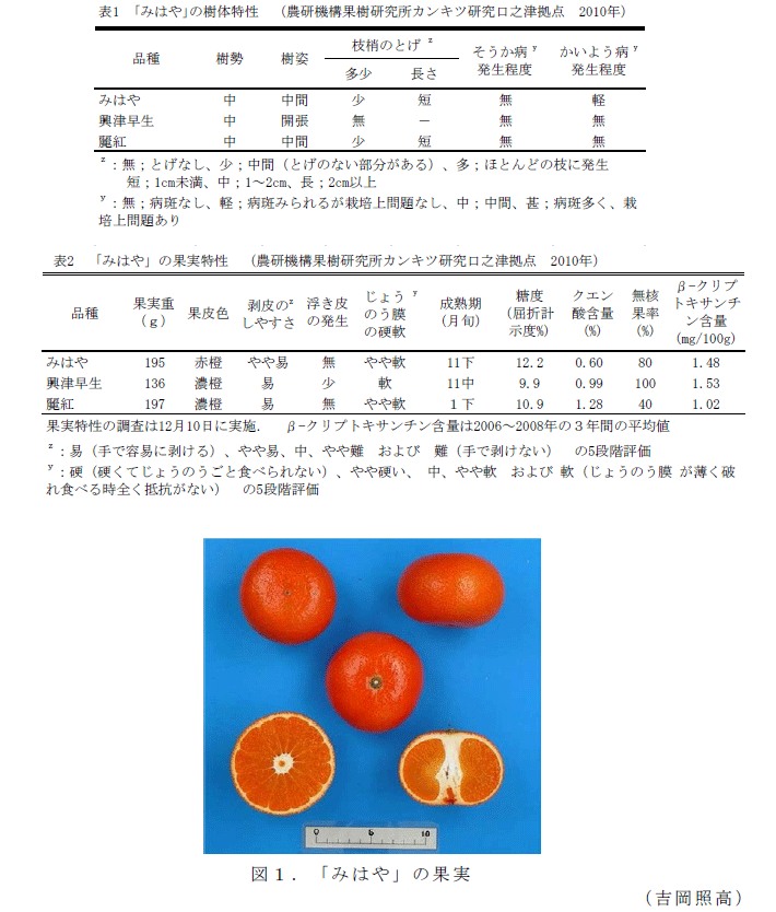 表1～2,図1