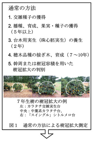 図1 通常の方法による樹冠拡大測定