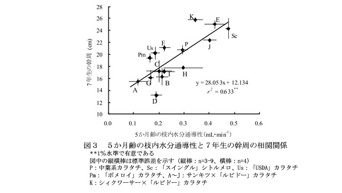 図3 5か月齢の枝内水分通導性と7年生の幹周の相関関係