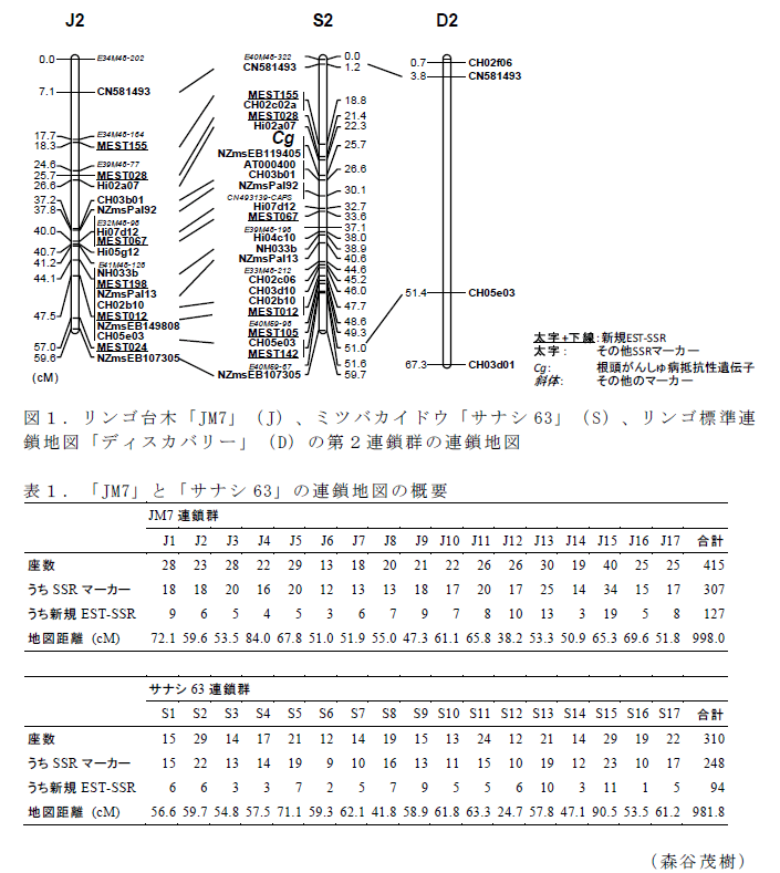 図1,表1