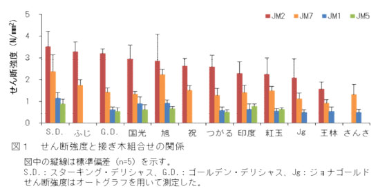 図1 せん断強度と接ぎ木組合せの関係