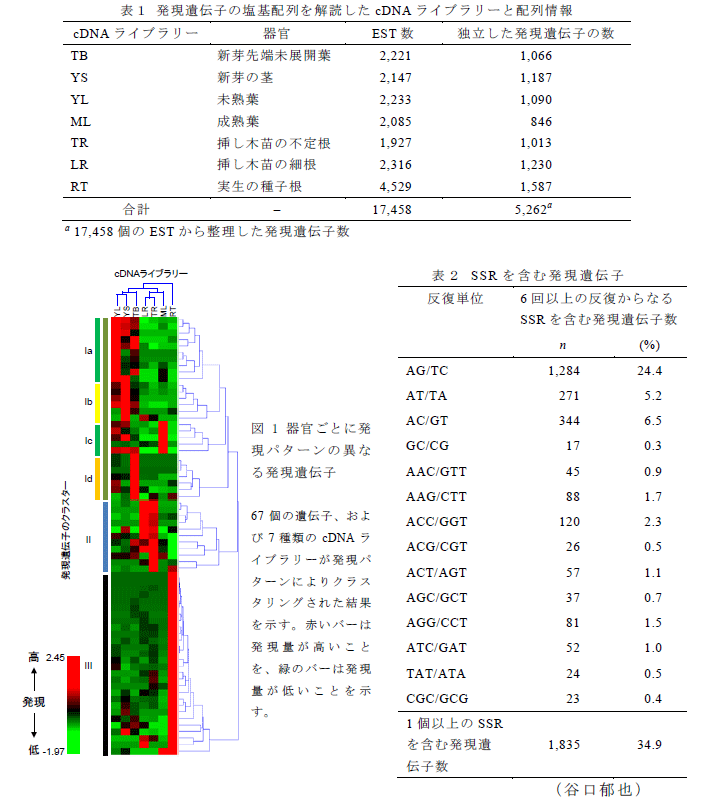 表1～2,図1