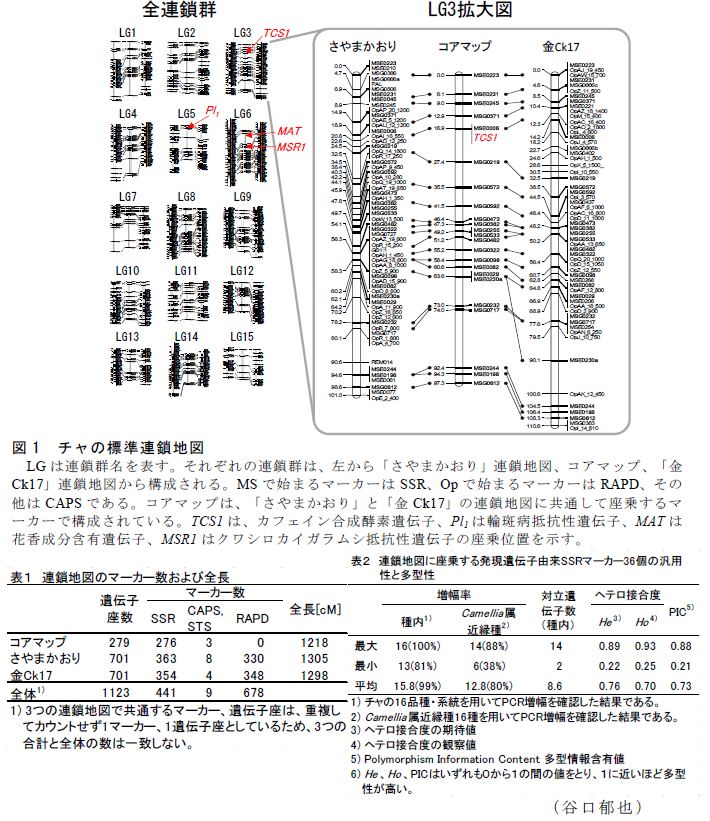 図1,表1～2