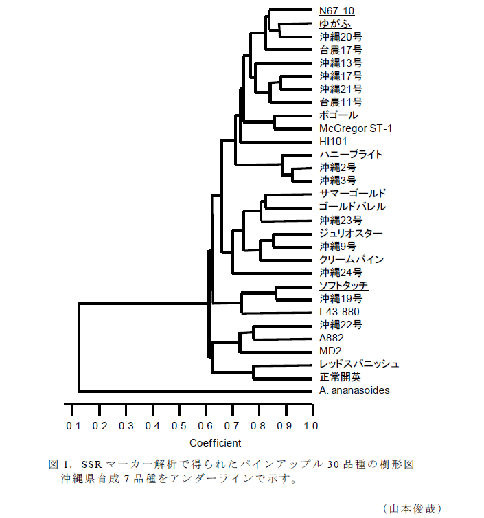 図1