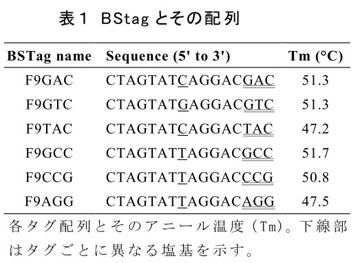 表1 BStagとその配列