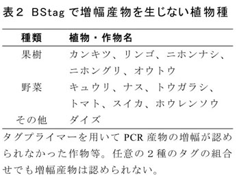 表2 BStagで増幅産物を生じない植物種