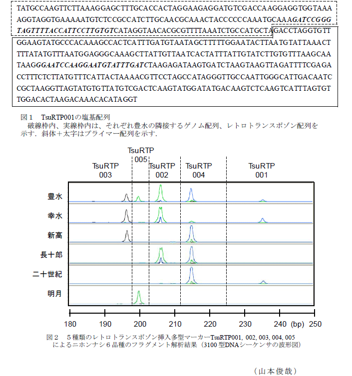 図1～2