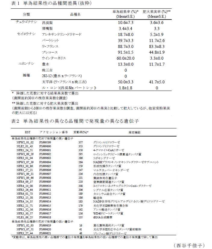 表1～2