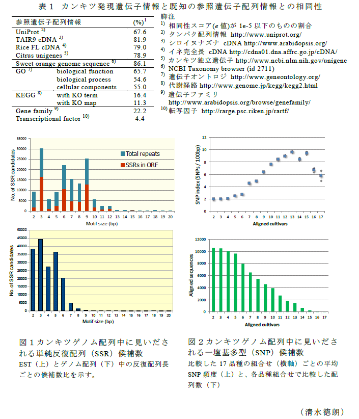 表1,図1～2