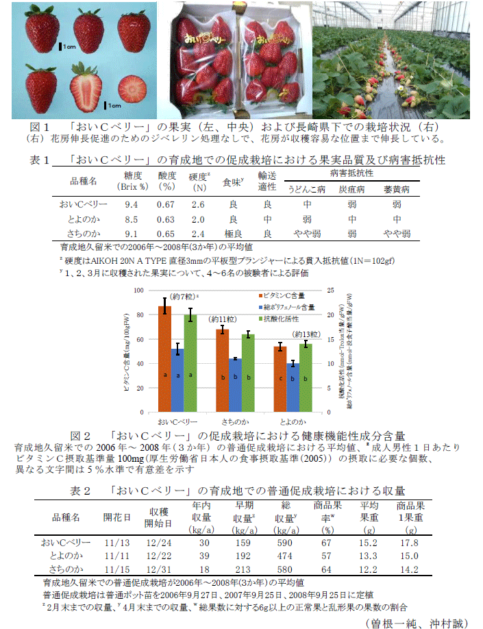 図1～2,表1～2