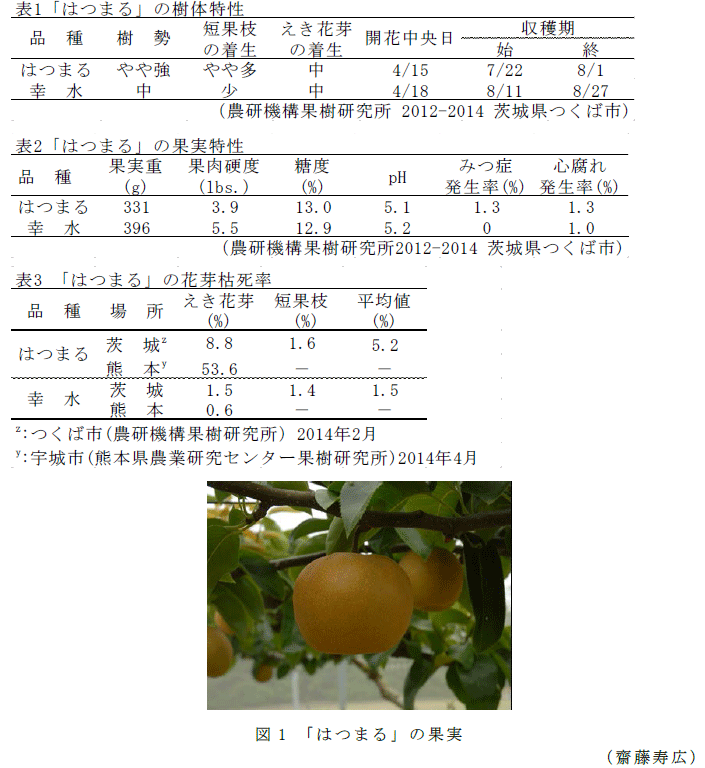 図1,表1～3