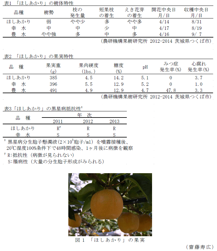 図1,表1～3