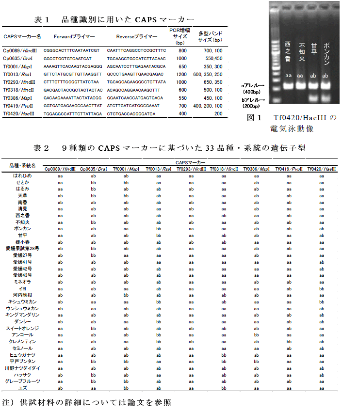 図1,表1～2