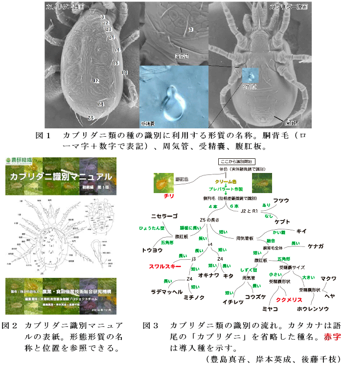 図1～3