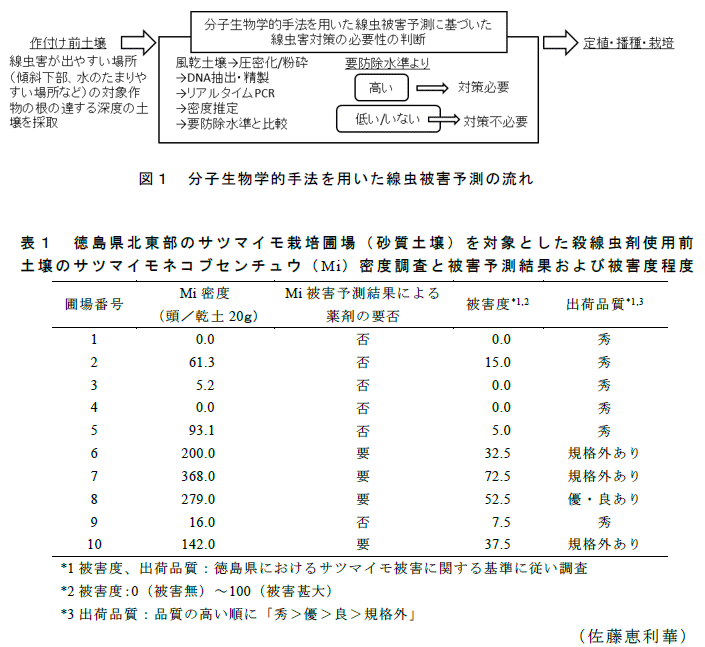 図1,表1