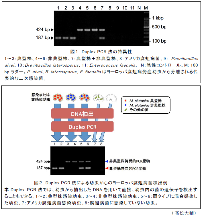 図1～2