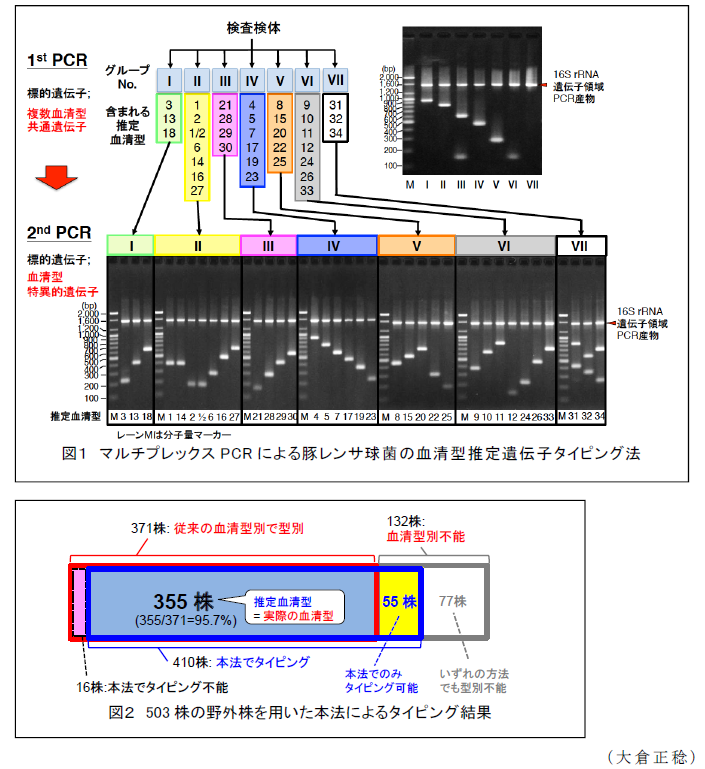 図1～2