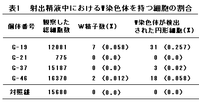 表1 射出精液中におけるW染色体をもつ細胞の割合